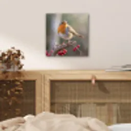 Roodborst - Tak - Bessen - Natuur aluminium wit klein -sfeer3