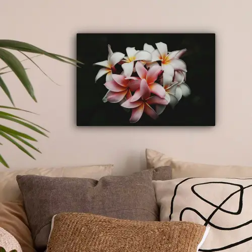 Bloemen - Roze - Zwart - Flora - Botanisch canvas 2cm klein -sfeer1