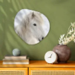 Paard - Kop - Winter - Dieren - Wit Wandcirkel Organisch Forex 3mm klein -sfeer2