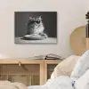Langharige kat - Zonnebril - Spaghetti - Humor - Zwart - wit PET vilt klein -sfeer3