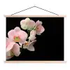 Orchidee - Bloemen - Roze - Stilleven - Flora textielposter latten blank klein -3d