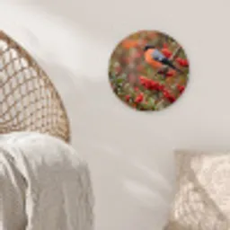 Goudvink - Bessen - Herfst - Natuur - Kleurrijk Wandcirkel kunststof plaat 5mm dik klein -sfeer5