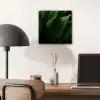 Bladeren - Schaduw - Groen - Textuur aluminium wit klein -sfeer5