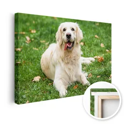 a95807223e5f42a61530ecb4997b18ed3a5ab235-canvas-b-product1-1.png
