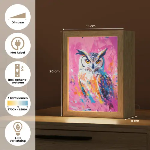 Uil - Roze - Blauw - Verf - Abstract Light Box met kabel (Tafellamp) klein -USP_NL