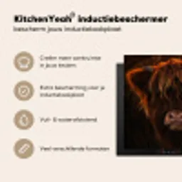 Vurige Manen Inductie beschermer vinyl 3mm middel -sfeer2