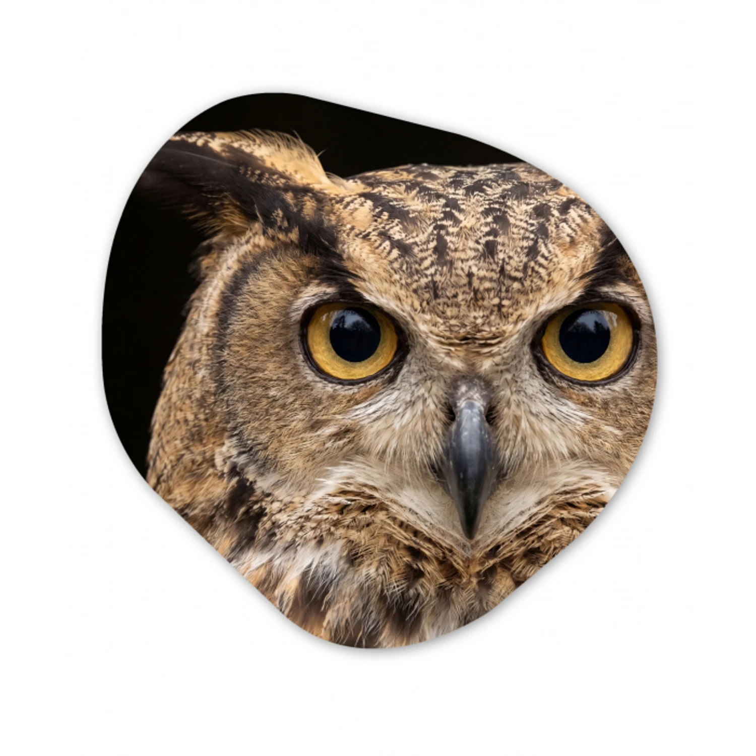 Oehoe - Uil - Portret - Bruin Wandcirkel Organisch Forex 3mm klein -3d