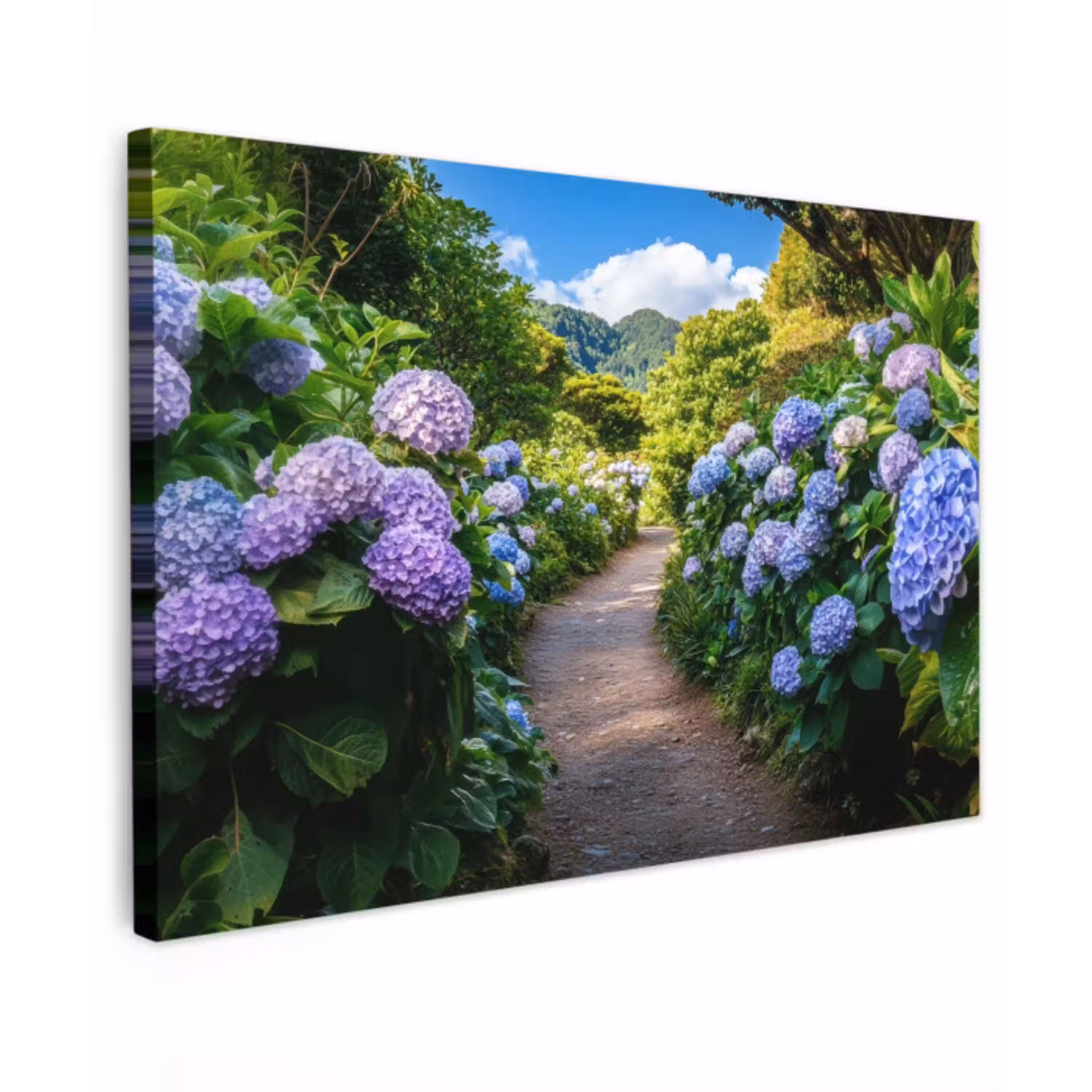 Hortsensia - Pad - Bloemen Tuinposter op houten frame 2 cm dik klein -3d