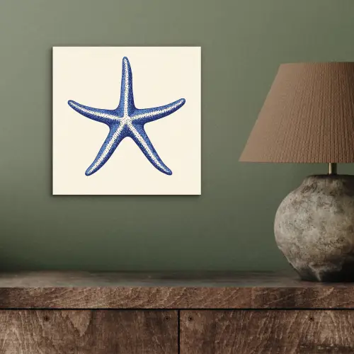 Blauwe zeester - Minimalistisch - Beige aluminium wit klein -sfeer2