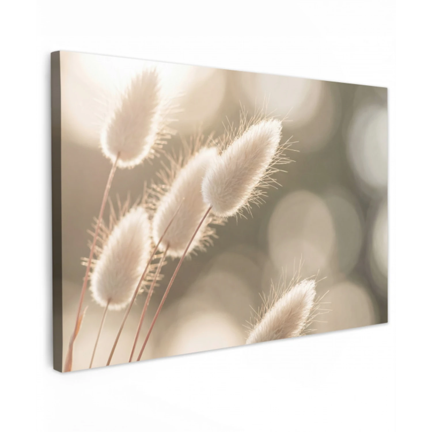 Hazestaartgras - Wit - Zonlicht Tuinposter op houten frame 2 cm dik klein -3d