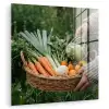 Veld - Groenten - Biologisch - Oogst plexiglas 5mm klein -zzzproduct_nieuw