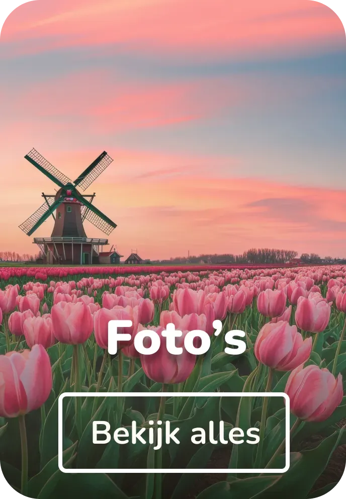 Vilt schilderijen foto's