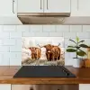Schotse hooglander - Koe - Natuur - Winter keuken achterwand spatscherm klein -sfeer2