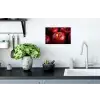 Rood - Appels - Fruit Muursticker klein -keuken