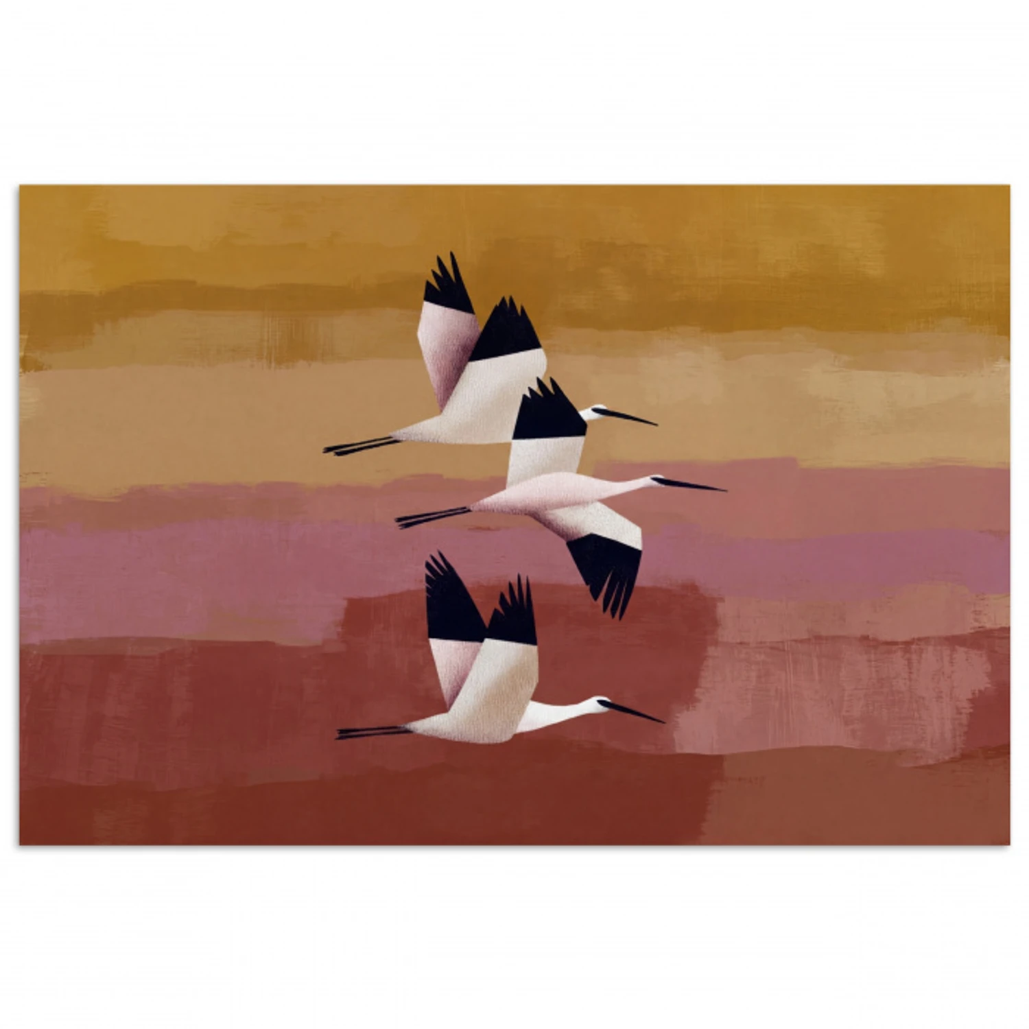 Vogels - Snavel - Abstract poster papier klein -3d
