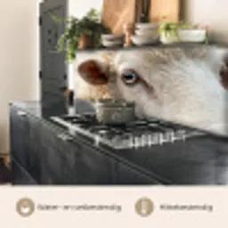 Schaap - Oog - Wit keuken achterwand 2 middel -usp_NL