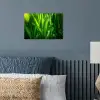 Grassprieten - Lichtinval - Groen poster papier klein -sfeer2