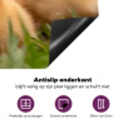Pijltje - Eend - Natuur - Geel Inductie beschermer vinyl 3mm klein -zzzzzzz-cc-onderkant