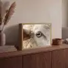 Schaap - Oog - Wit Light Box met batterij (Wandlamp) middel -sfeer2