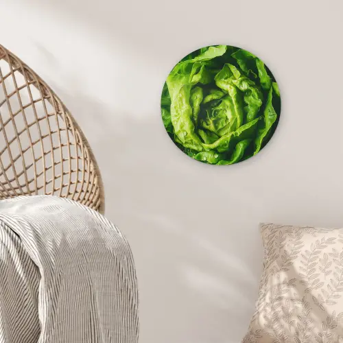 Groente - Sla - Groen Wandcirkel kunststof plaat 5mm dik klein -sfeer5