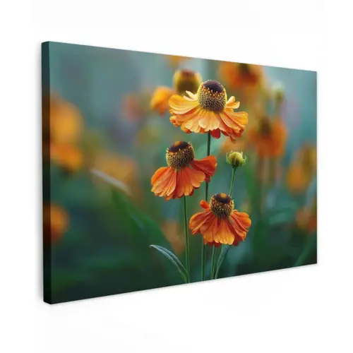 Oranje bloemen - Levendig - Wazige achtergrond canvas 2cm klein -z3d