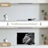 Leeuw tegen zwarte achtergrond in zwart-wit keuken achterwand spatscherm klein -voor_na_NL