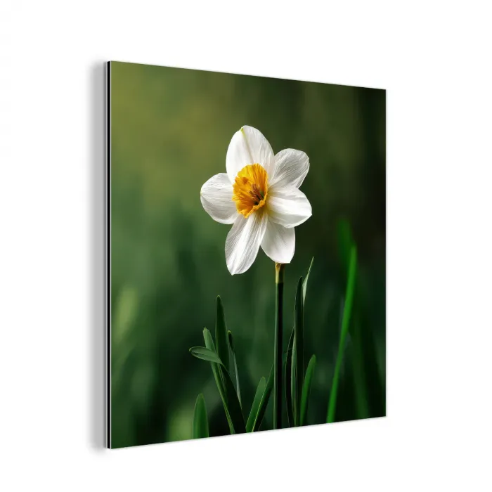 Narcis - Bloem - Wit - Grassprieten aluminium wit klein -3d