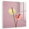 Bloemen - Anthuriums - Geel - Roze plexiglas 5mm klein -zzzproduct_nieuw