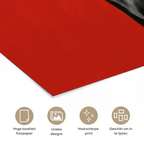 Windhond - Minimalistisch - Rood poster papier klein -closeup_NL