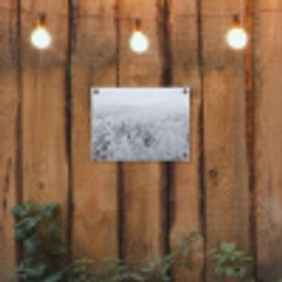 Bos - Sneeuw - Winter - Natuur - Wit tuinposter los doek klein -sfeer1