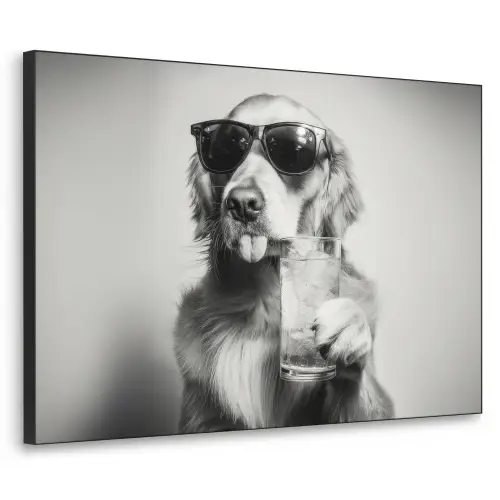Golden retriever - Hond - Zonnebril - Gkas Textielframe - compleet frame klein -3d