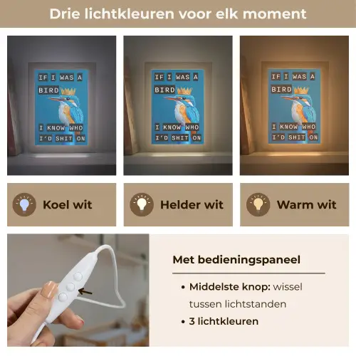Vogel - Decoratie - Ijsvogel - Blauw Light Box met kabel (Wandlamp) klein -USP_lichtkleurNL