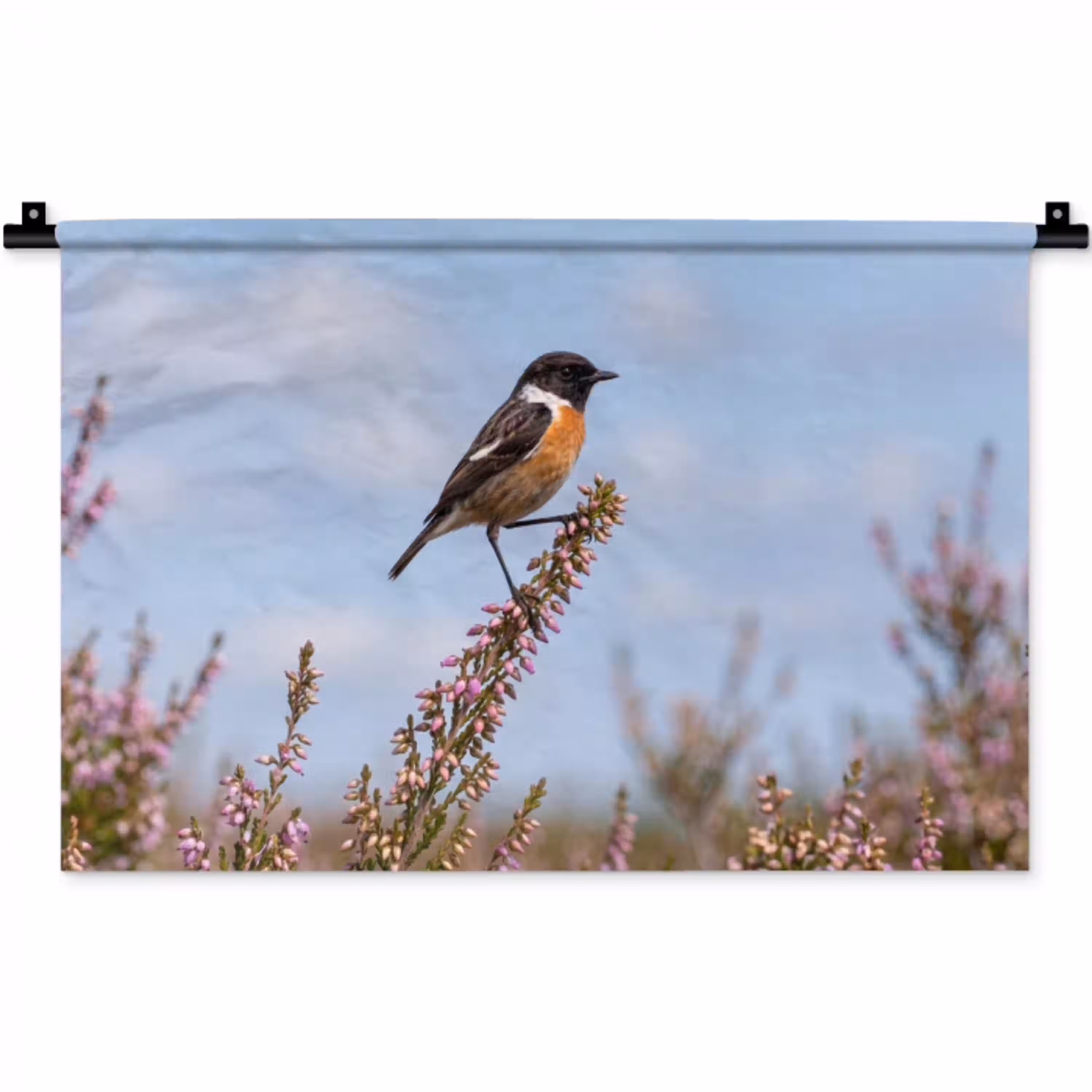Roodborsttapuit - Heide - Paars - Natuur - Sfeervol Wandkleed katoen klein -zz3d