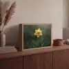Bloem - Narcis - Gras - Geel Light Box met batterij (Wandlamp) middel -sfeer2