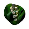 Bloemen - Wit - Bladeren - Lelietjes Wandcirkel Organisch Forex 3mm klein -3d
