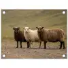 Schapen - Bruin - Wit - Grindpad tuinposter los doek klein -3d