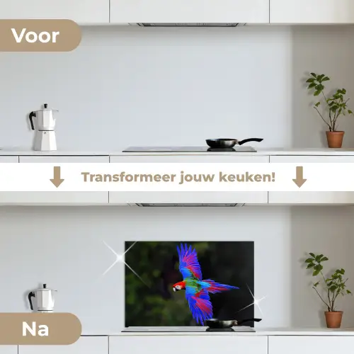 Felgekleurd - Papegaai - Bos - Vleugels keuken achterwand spatscherm klein -voor_na_NL