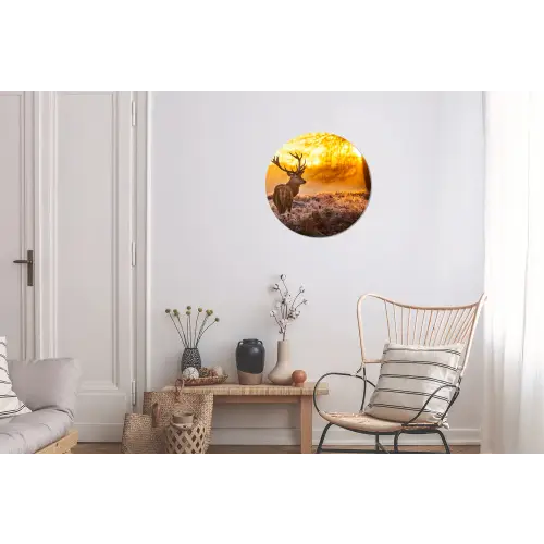 Hert - Dieren - Zonsondergang - Winter - Heide - Natuur Wandcirkel aluminium klein -woonkamer