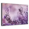 Lavendel - Winter - Bloemen - Paars Textielframe zwart klein -3d