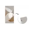 Ovale vormen - Transparant - Zachte overgang fotobehang vinyl groot -3d