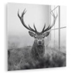 Hert - Mistig - Zwart - Wit plexiglas 5mm klein -zzzproduct_nieuw