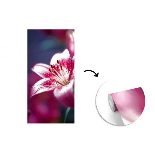 Roze - lelie - Dauwdruppels fotobehang vinyl groot -3d