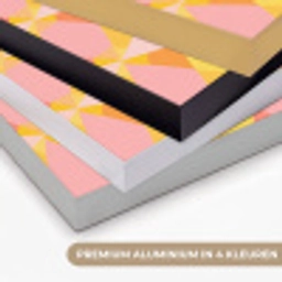 Kleurrijk - Ruitpatroon - Bladvormen Textielframe zwart klein 947 -USP_kleurenNL