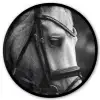 Paard - Schimmel - Portret Fotolijst rond zonder passe partout klein -3d
