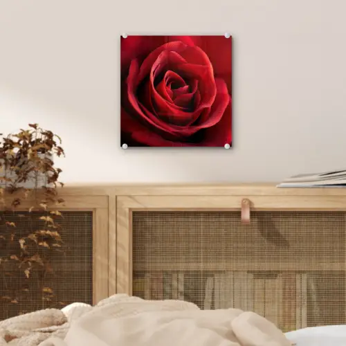 Rood - Roos - Romantisch plexiglas 5mm klein -sfeer4