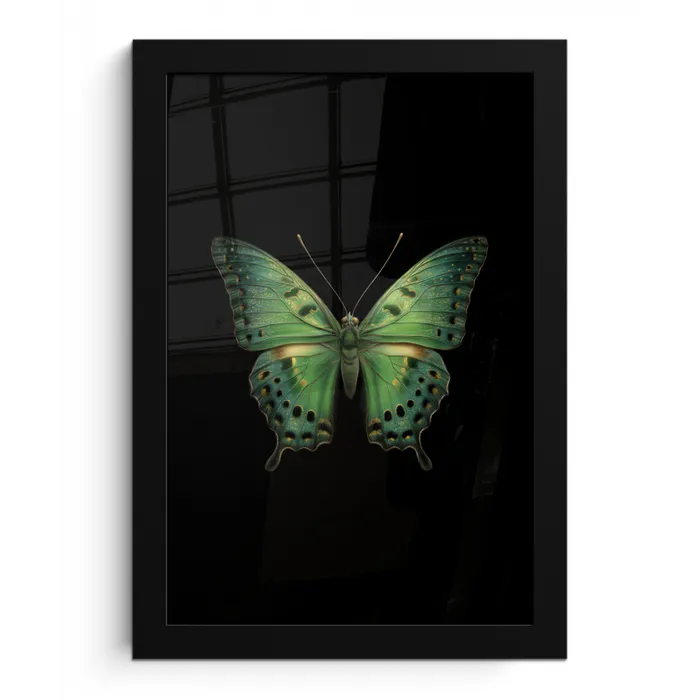 Vlinder - Groen - Diepte fotolijst zwart zonder passe partout klein -3d