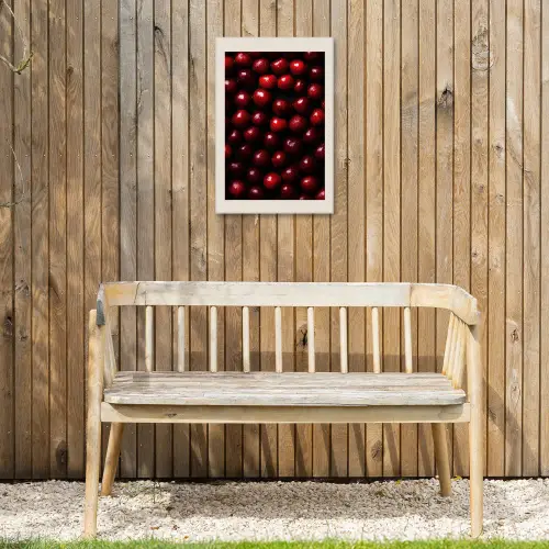 Kersen - Rood Tuinposter op houten frame 2 cm dik klein -sfeer4