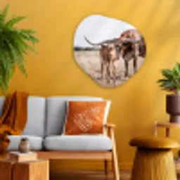 Texas Longhorn - Kalf - Weide - Dieren Wandcirkel Organisch Aluminium middel -sfeer4