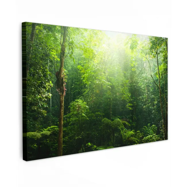 Jungle - Zonlicht - Groen - Meisjes - Kinderen - Jongens canvas 2cm klein -z3d