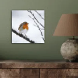 Roodborstje - Tak - Sneeuw - Winter - Levendig aluminium wit klein -sfeer2